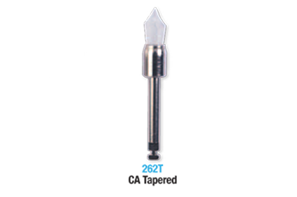 Prophy brushes 2 ca tapered