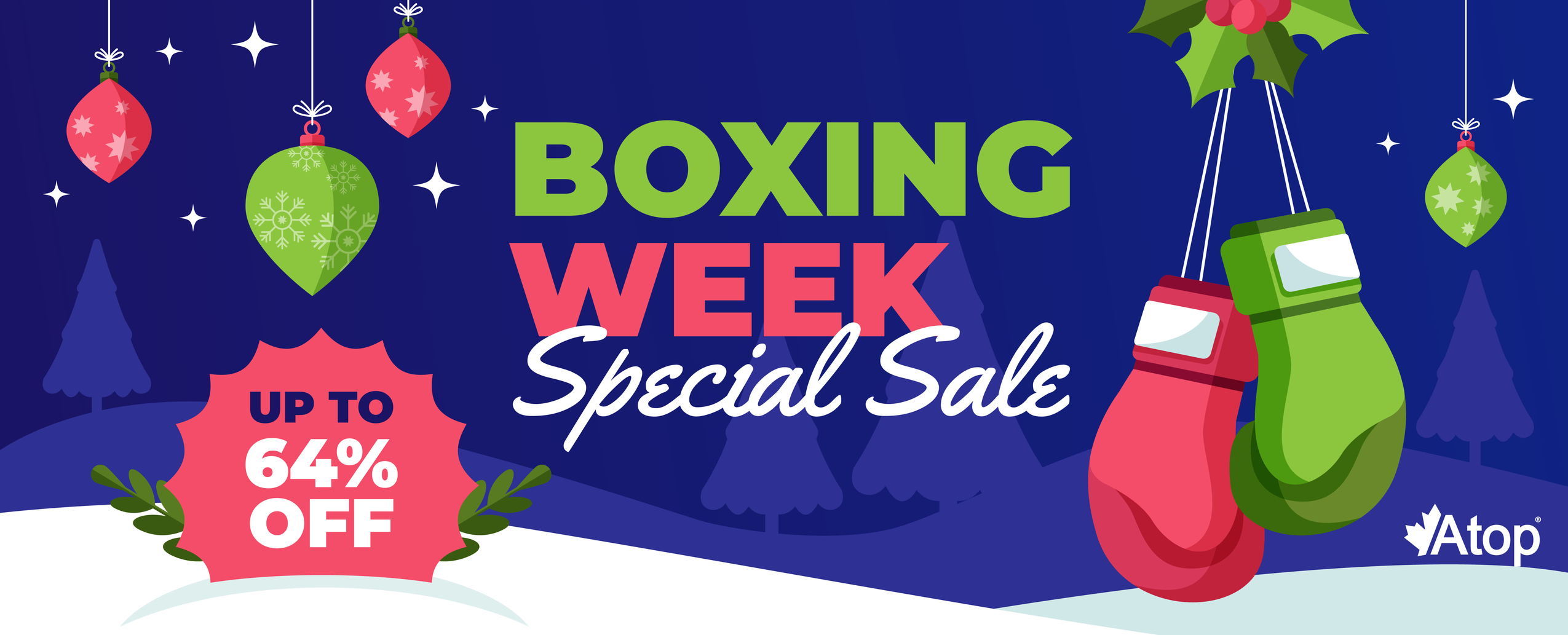 Good size 25 boxing year end banner 01